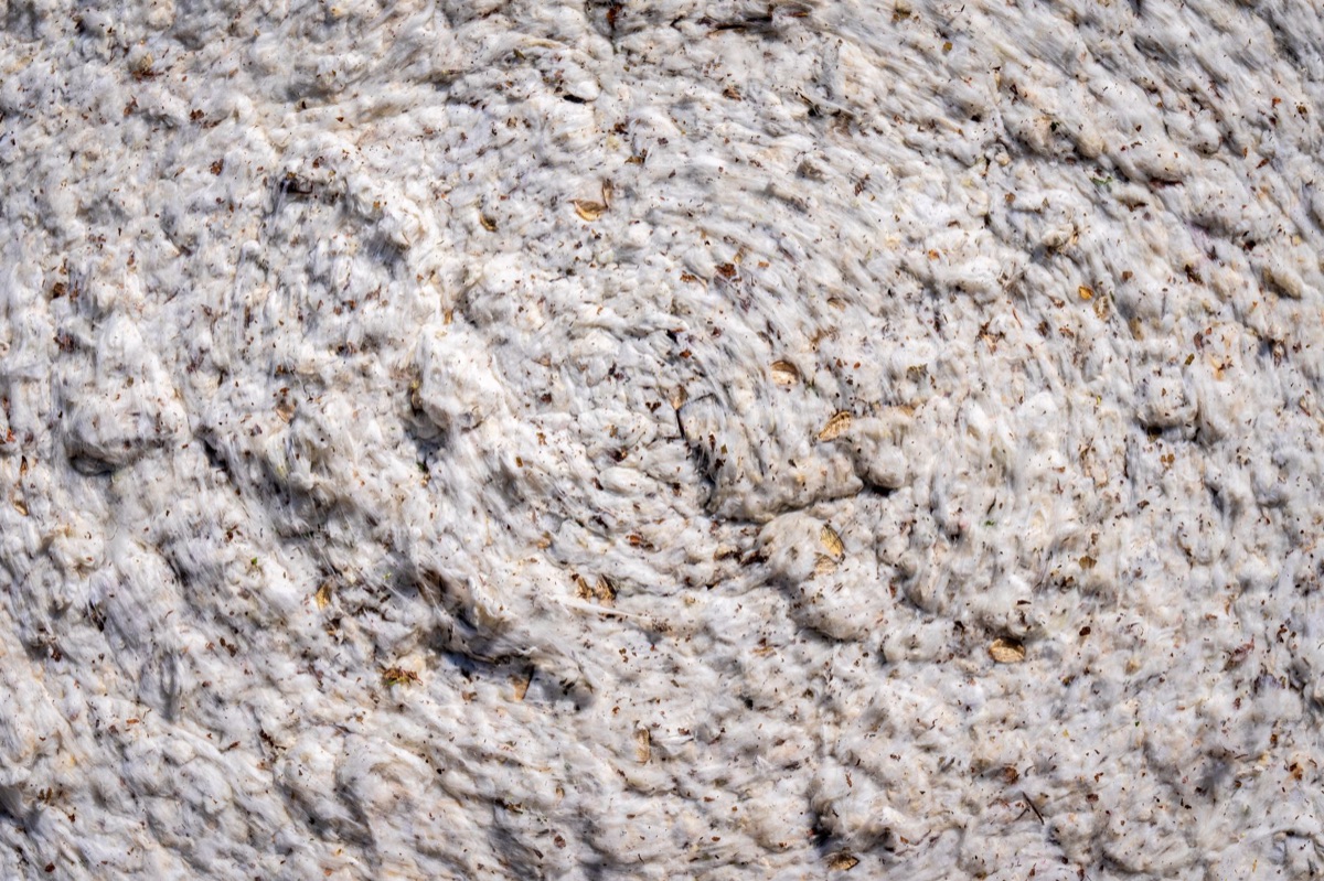 Tessuti sostenibili e cotone biologico per moda etica