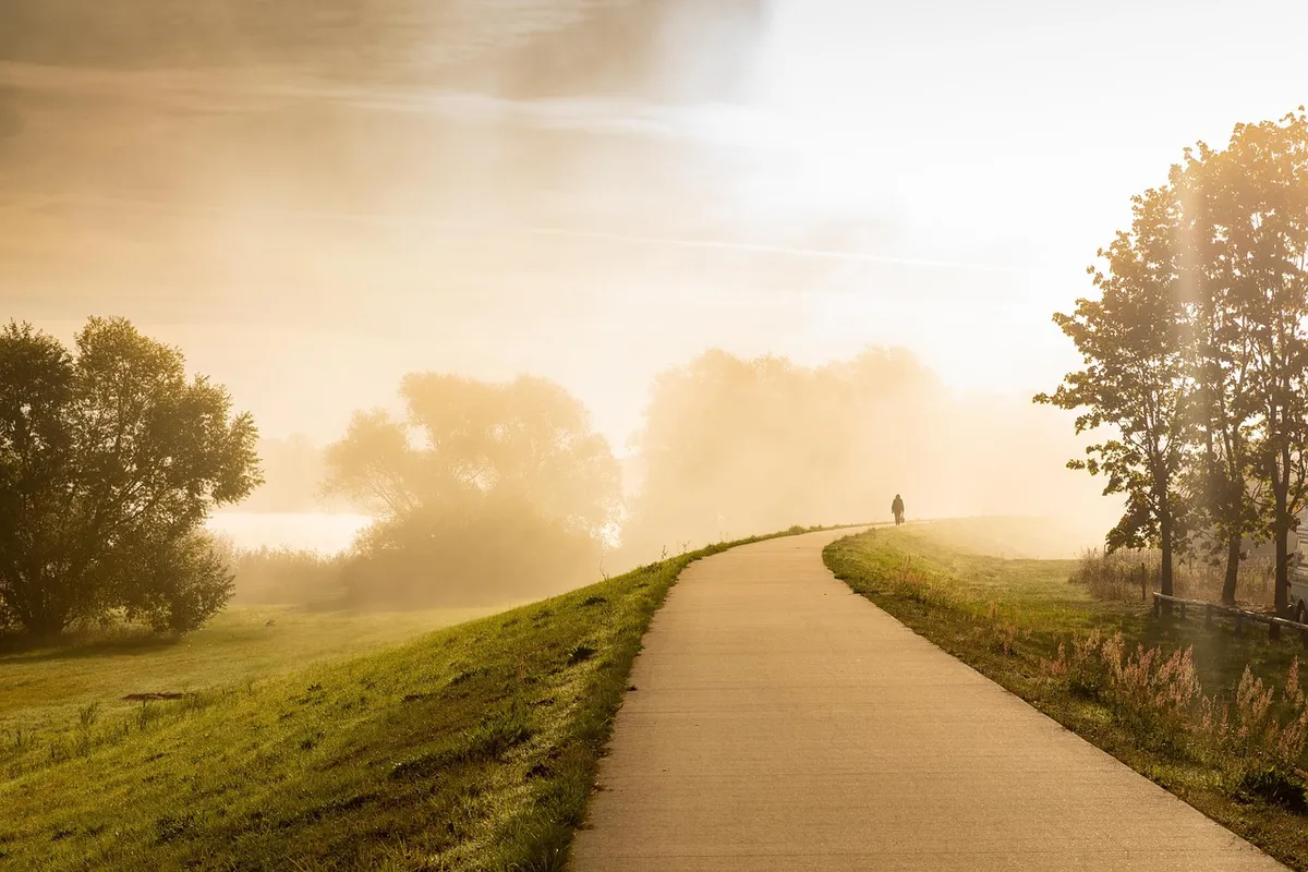 road, field, fog, path, nature, pavement, meadow, grass, trees, person, morning mist, mist, landscape, countryside, lüchow-dannenberg, gartow, germany