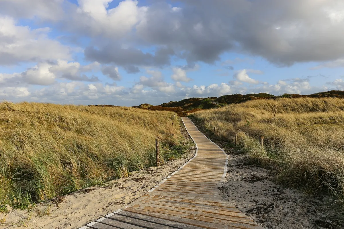 grass, dunes, landscape, germany, north sea, langeoog, sky, summer, east frisia, dünenweg, clouds, island, nature, germany, north sea, langeoog, sky, summer, su