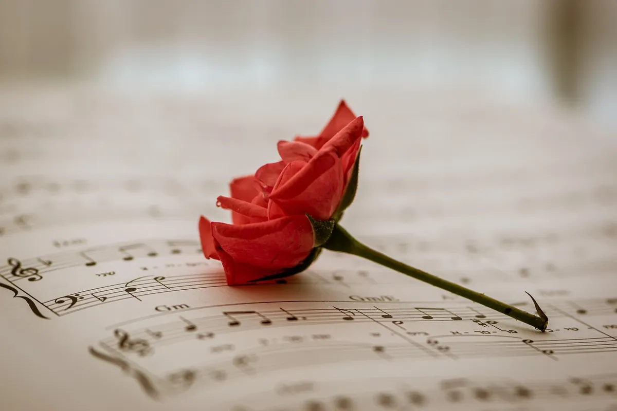 sheet music, red rose, red flower, sounds of music, song, melody, musical notes, pianoforte, tones, hebrew, piece of music, compose, flower and music, joy of li